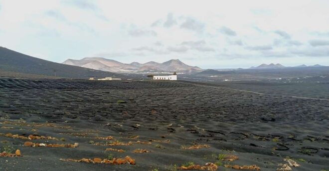 Winetourism in Lanzarote: the First Vineyards in Masdache - Highlighted Features of the Winetourism