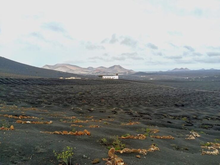 Winetourism in Lanzarote: the First Vineyards in Masdache - Good To Know