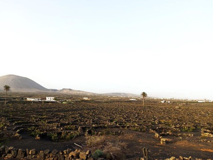 Winetourism in Lanzarote: the First Vineyards in Masdache - Uncovering the Origins of Winemaking