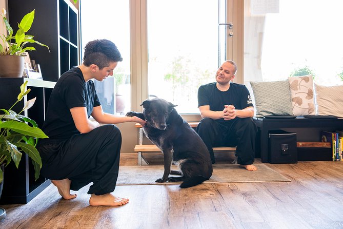 WING HO Martial Arts ScHOol Oliver Ulmann - Meeting and Pickup Details