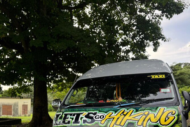 Wingfield Rain Forest Nature Trail Adventure - Exploring the Wingfield Rainforest: What This Tour Offers