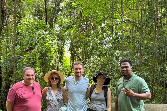 Wingfield Rain Forest Nature Trail Adventure - The Itinerary: A Detailed Breakdown