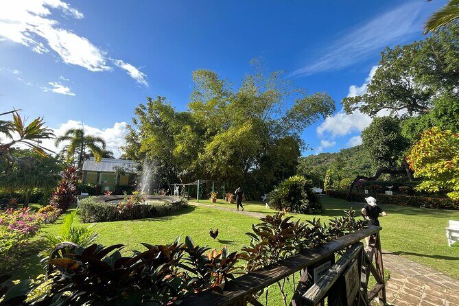 Wingfield Rainforest Hike St Kitts and Romney Manor Adventure - An In-Depth Look at the Rainforest Hike Experience