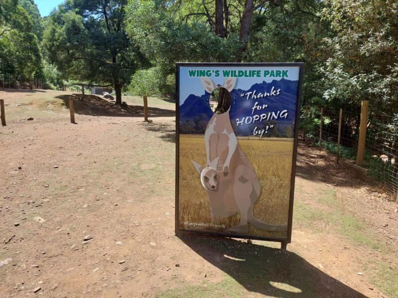 Wings Wildlife Park Burnie Shore Excursion - An Authentic Wildlife Experience in Tasmania
