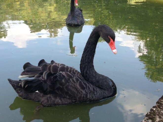 Winston Churchills Family Home With Private Transportation - Enjoy Private Transportation to Chartwell