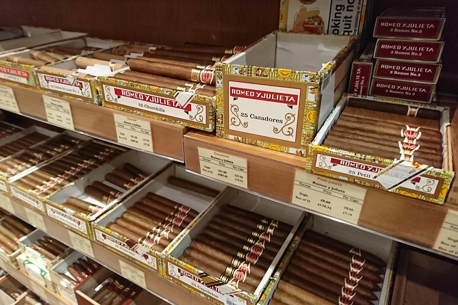 Winston Churchills London and The Churchill War Rooms - A Private Tour. - Cancellation Policy