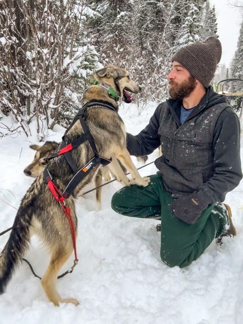 Winter Dog Sled Tour Day or Night Mush! - What to Expect from Your Dog Sled Adventure