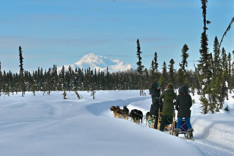 Winter Dog Sled Tour Day or Night Mush! - Authenticity and Accessibility