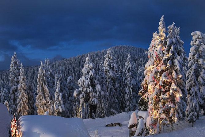 Winter Fun at North Shore Mountains- Grouse, Seymour & Cypress - Grouse Mountain Activities and Attractions