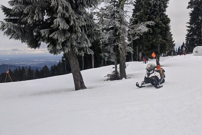 Winter Fun at North Shore Mountains- Grouse, Seymour & Cypress - Dining and Refreshment Options