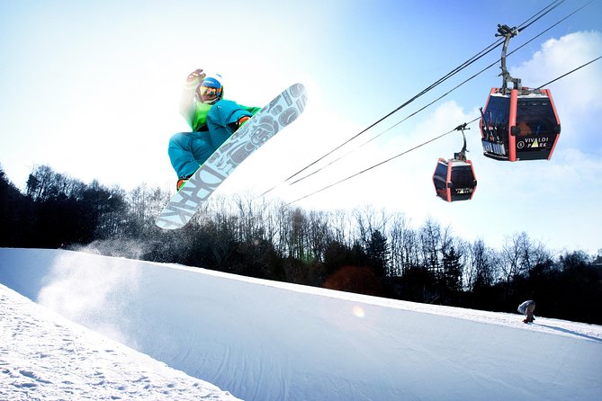 Winter Fun at Vivaldi Ski Resort With Romantic Winter Scenery at Nami Island - Vivaldi Ski Resort: A Winter Wonderland