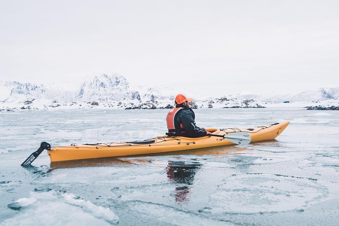 Winter Half Day Kayak Tour - Cancellation Policy