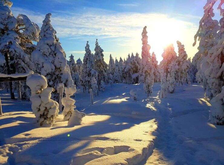 Winter Hike - Activity Details