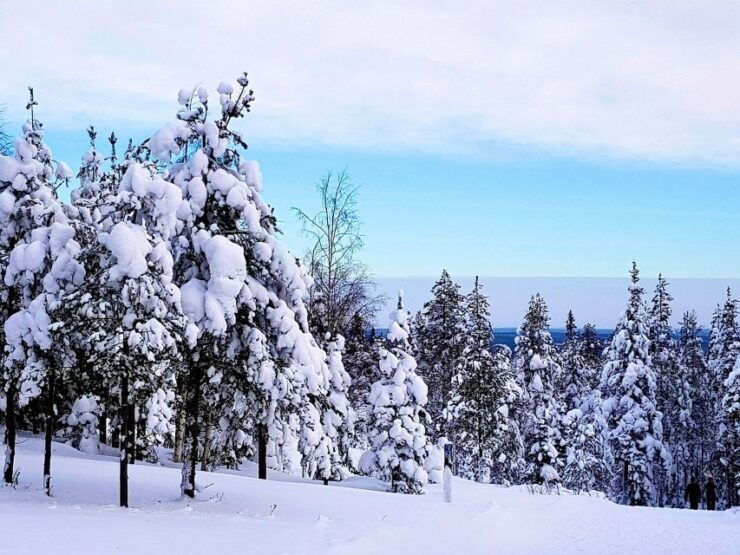 Winter Hike - Experience Highlights