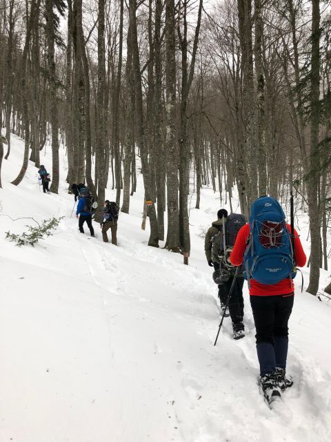Winter Hiking to Petrostrouga Refuge 1.940m. (Mt. Olympus) - Experience Highlights