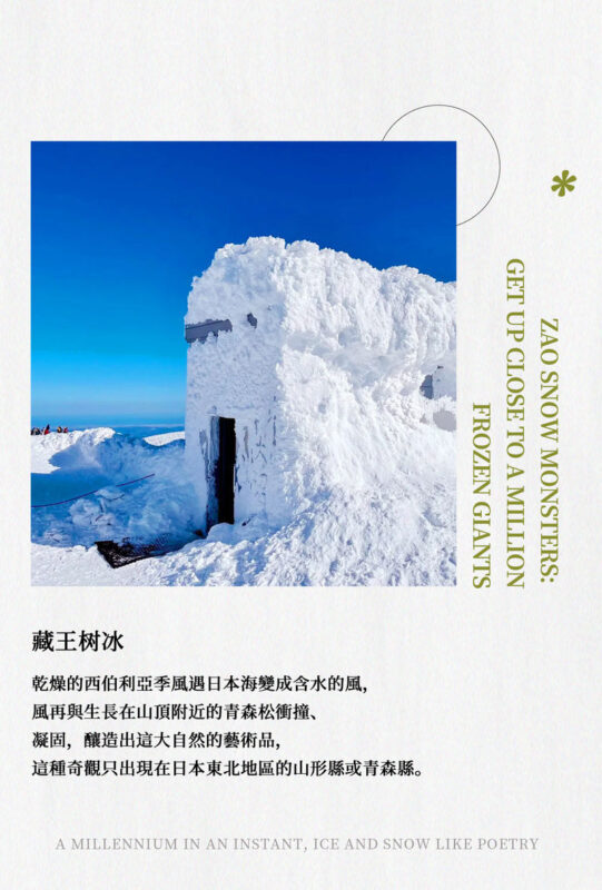 Winter Limited: Ginzan Onsen, Zao Snow Monsters, and Zao Fox Village 2-Day Tour | Stay at Naruko Onsen - Enjoy a Japanese-Style Onsen Inn | Departure from Tokyo - A winter sampler, not a leisurely escape