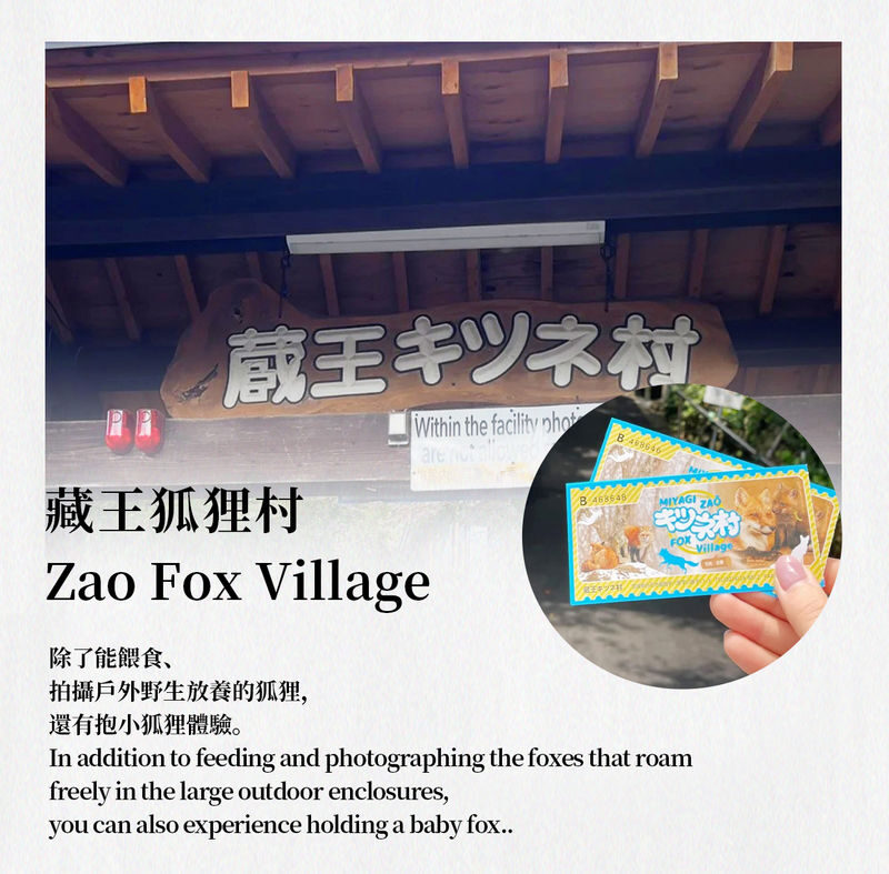 Winter Limited: Ginzan Onsen, Zao Snow Monsters, and Zao Fox Village 2-Day Tour | Stay at Naruko Onsen - Enjoy a Japanese-Style Onsen Inn | Departure from Tokyo - Who should book this winter circuit?