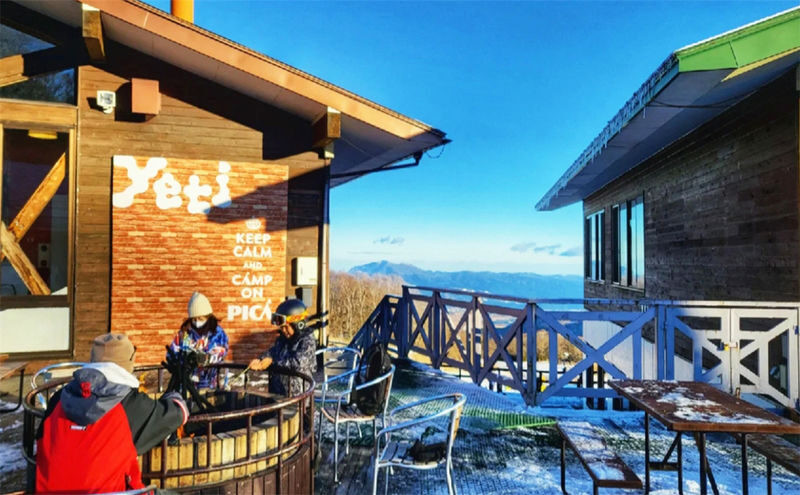 Winter Limited: Mt. Fuji Yeti Skiing or Izu Strawberry Picking Day Trip | Choose between two itineraries | Departure from Tokyo - What the customer accounts suggest