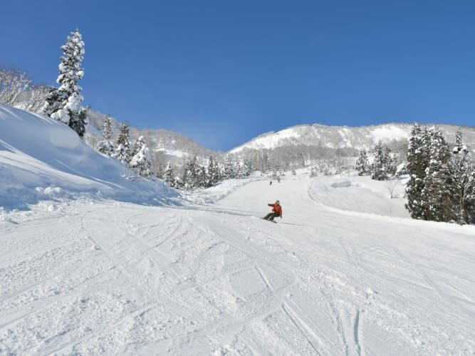 Winter limited ski private car charter: GALA Yuzawa, Naeba NAEBA, Hakuba ski resort (ski day trip/one-way transfer) - What the three-hour estimate really means