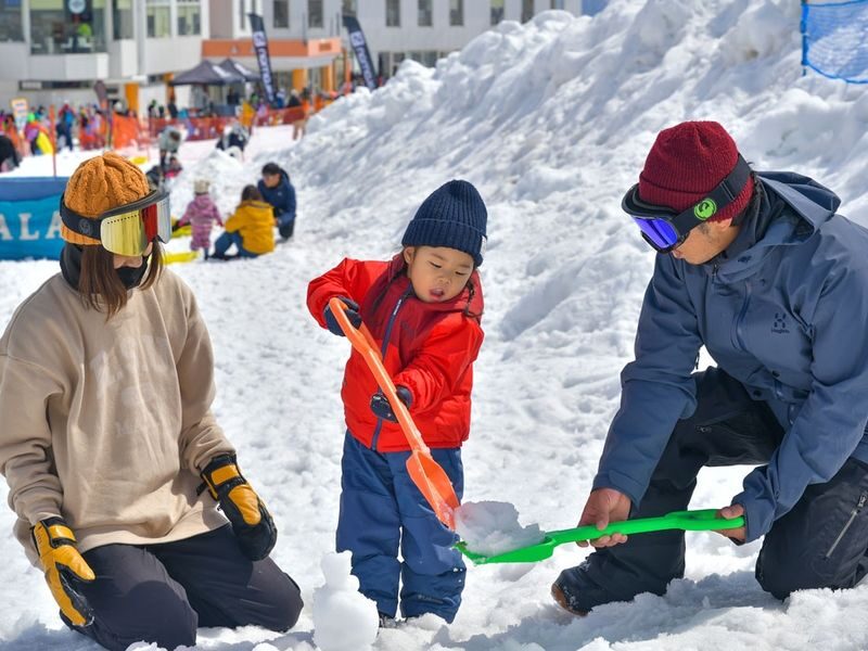 Winter limited ski private car charter: GALA Yuzawa, Naeba NAEBA, Hakuba ski resort (ski day trip/one-way transfer) - Match the vehicle to people and ski bags