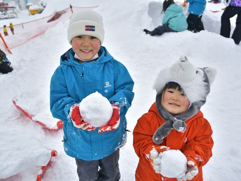 Winter limited ski private car charter: GALA Yuzawa, Naeba NAEBA, Hakuba ski resort (ski day trip/one-way transfer) - The price is for transport, not a ski day