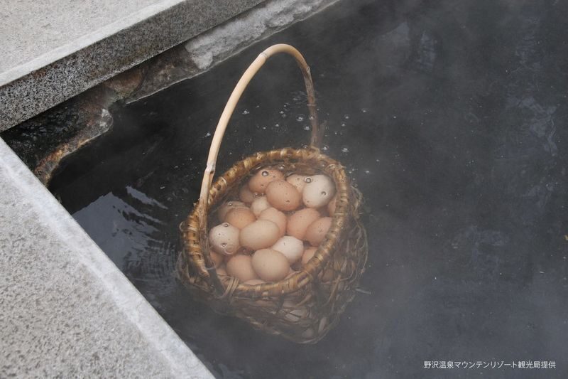 Winter Nagano Day Trip | Zenko-ji Temple & Iiyama Snow Hut & Nozawa Onsen Village (Departing from Nagano) - Cold-weather preparation and meeting-point basics