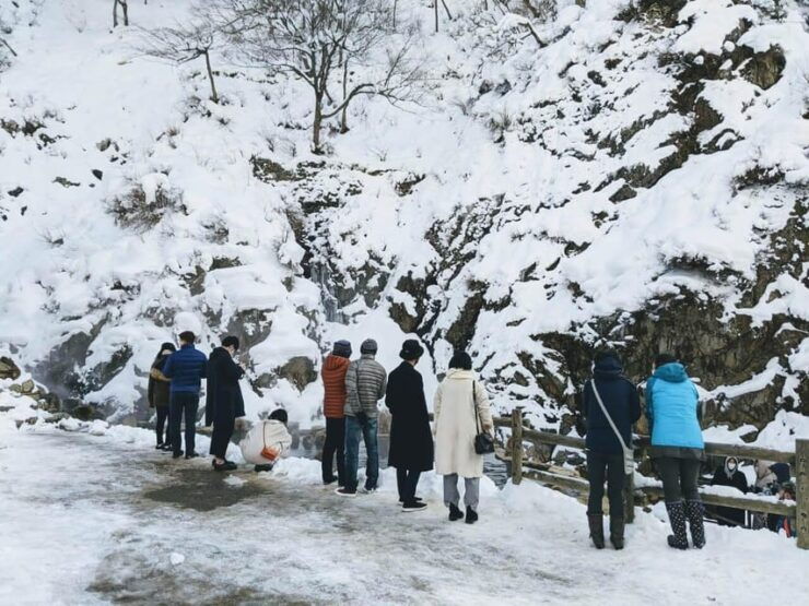 Winter Only From Nozawa Onsen: Snow Monkeys, Zenko-ji & Sake - Good To Know