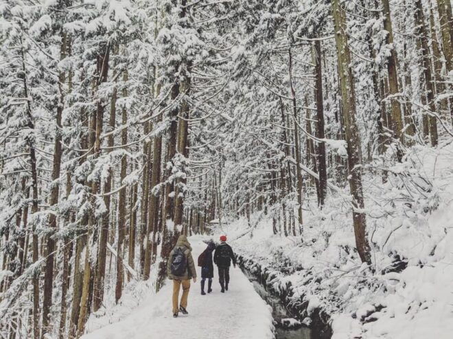 Winter Only From Nozawa Onsen: Snow Monkeys, Zenko-ji & Sake - Zenko-ji Temple Exploration