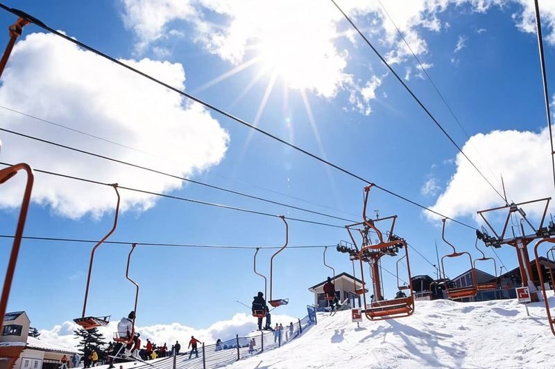 Winter Only: Kobe Rokkosan Snow Park Skiing/Snow Playing Day Tour (Departing from Osaka) - Should you book this Rokko day trip?