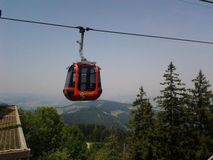 Winter Panorama Mount Pilatus: Small Group Tour From Luzern - Booking Information