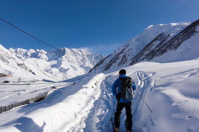 Winter Skiing Tour to Svaneti Resort - Operator Information