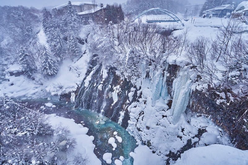 Winter Small Group Tour: Asahiyama Zoo & Biei Christmas Tree & Shirogane Blue Pond & Ningle Terrace Day Trip | Optional Hotel Pickup - Biei’s winter trees: brief, scenic pauses