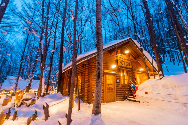 Winter Small Group Tour: Asahiyama Zoo & Biei Christmas Tree & Shirogane Blue Pond & Ningle Terrace Day Trip | Optional Hotel Pickup - Shirahige Falls and the Blue Pond