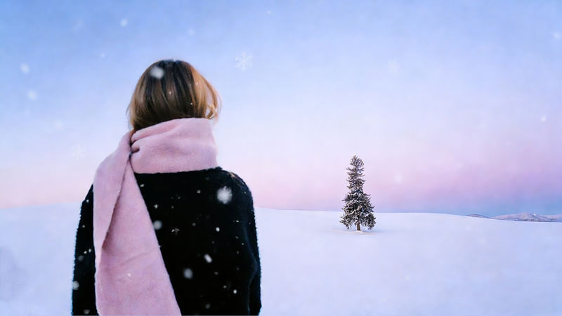 Winter Small Group Tour: Asahiyama Zoo & Biei Christmas Tree & Shirogane Blue Pond & Ningle Terrace Day Trip | Optional Hotel Pickup - Ningle Terrace: handmade shops in the woods