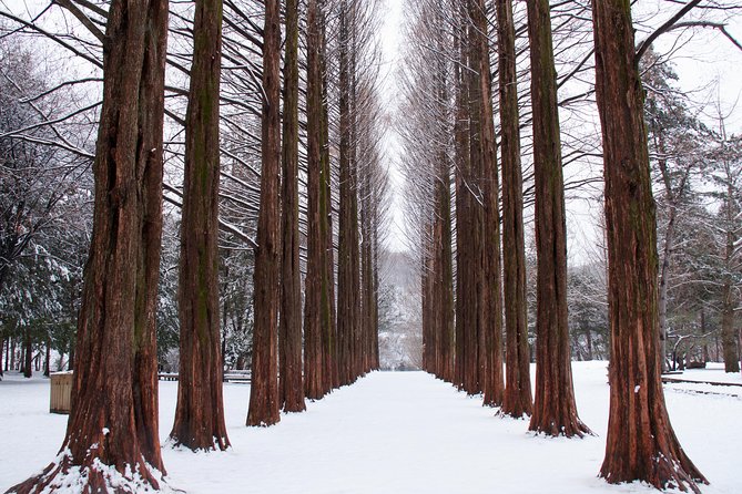 Winter Sonata TV Tour on Nami Island From Seoul - Traveler Experiences
