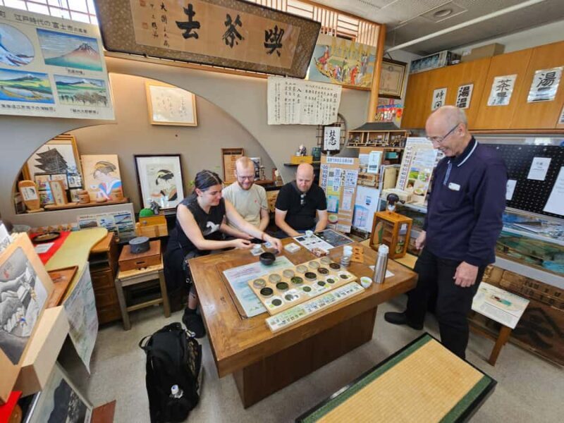 Winter Special: Clear View Mt. Fuji E-Bike Tour - Final Thoughts