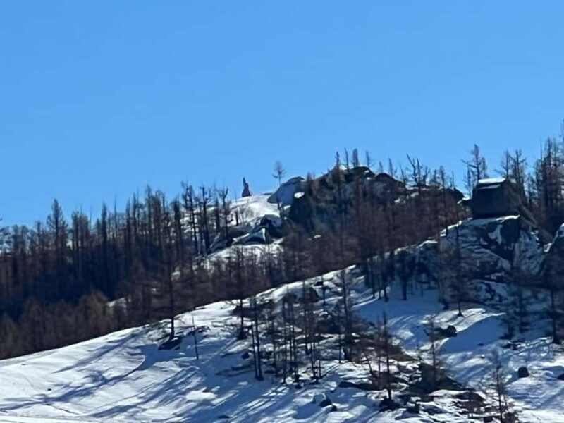 Winter tour: 2-Day Khustai & Terelj National Park Tour - Exploring Mongolia’s Winter Wonderlands: The 2-Day Khustai & Terelj National Park Tour