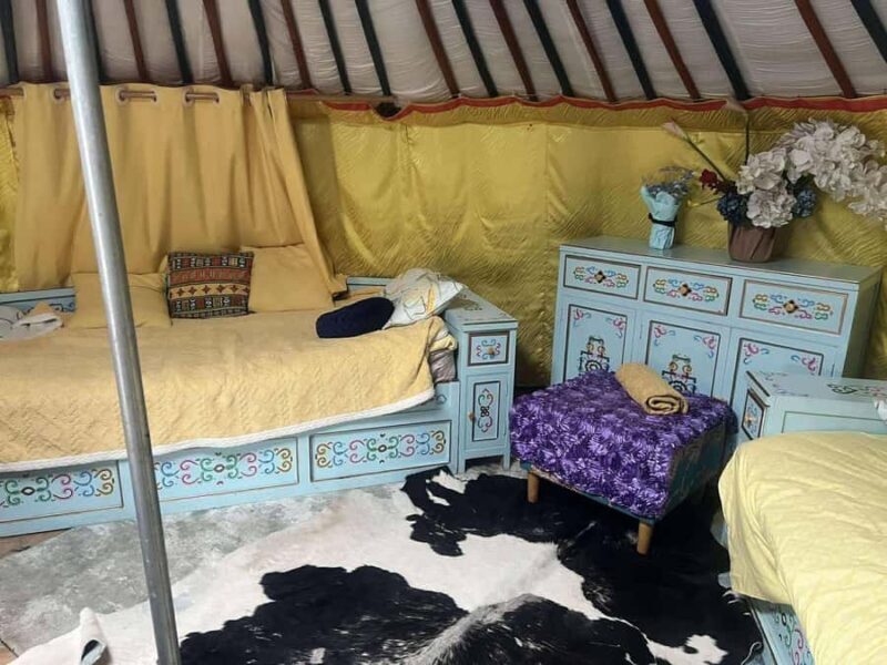 Winter tour: 2-Day Khustai & Terelj National Park Tour - What sets this tour apart?