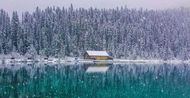 Winter Tour From Calgary Lake Louise, Johnston Canyon, Banff - Experience and Activities