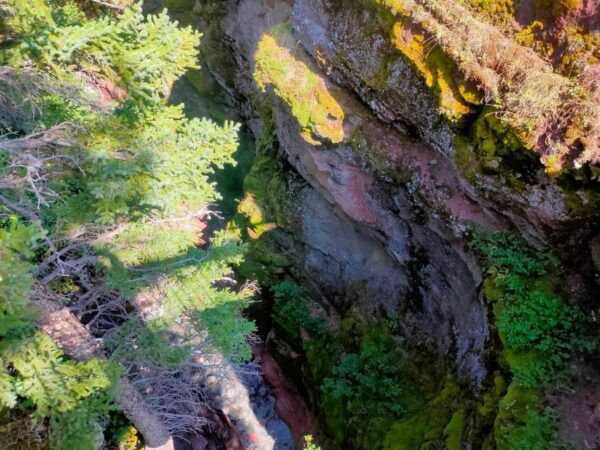 Winter Tour Waterton National Park Adventure From Calgary - Waterton Park