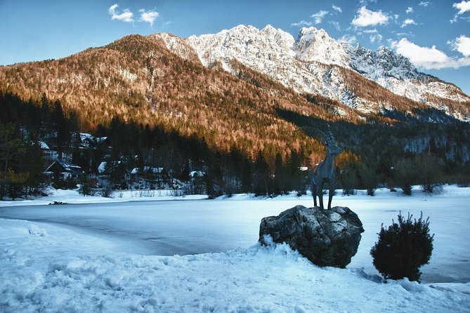 Winter Triglav National Park Adventure - Half Day Trip From Bled - Inclusions