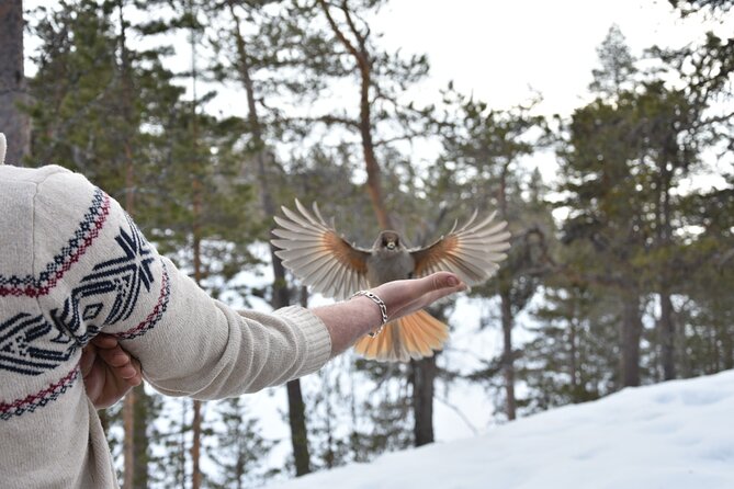 Winter Wilderness Hiking - Safety Tips for Winter Wilderness Hiking