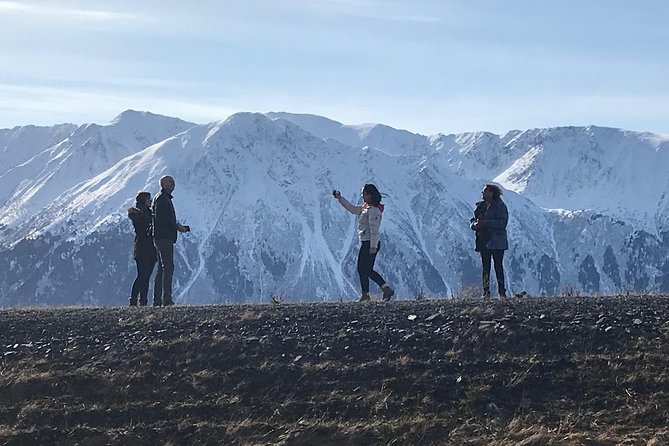 Winter - Wildlife & Turnagain Arm Tour - Common Questions