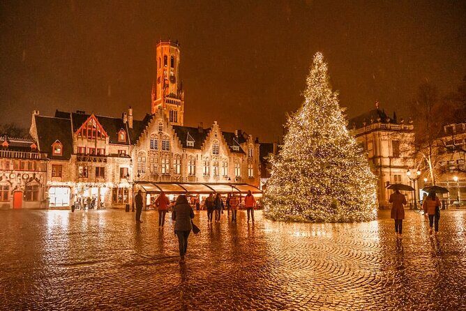 Winter Wonderland Day Trip from Paris to Bruges - Who Is This Tour Best For?