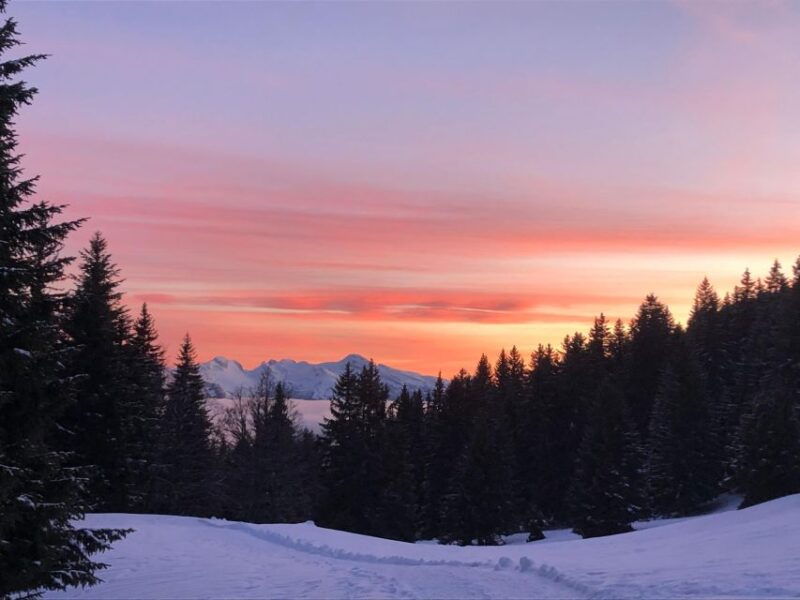 Winter Wonderland Expedition, Snowshoe Journey Into the Wild - Good To Know