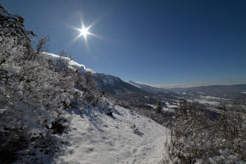Winter Wonderland Expedition, Snowshoe Journey Into the Wild - Pricing and Reservation