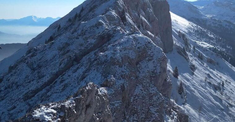 Winter Wonderland Expedition, Snowshoe Journey Into the Wild - Experience Highlights