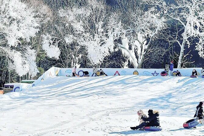 Winter Wonderland Healing Park and Gyeongju/Daegu Tour from Busan - An In-Depth Review of the Tour Experience