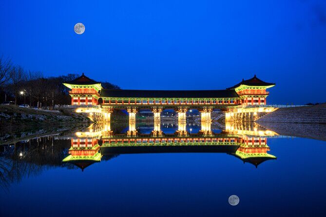 Winter Wonderland Healing Park and Gyeongju/Daegu Tour from Busan - Final Words: Who Will Love This Tour?