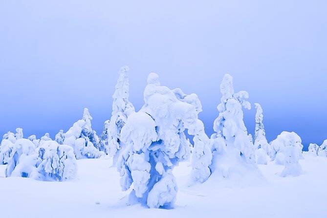 Winter Wonderland Hiking - Essential Gear for Winter Hiking